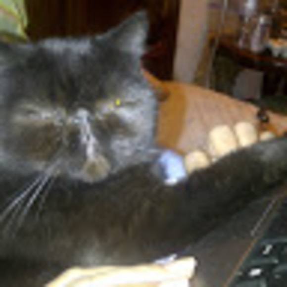 Meet your Posher, Andrew - Picture 1 of 1